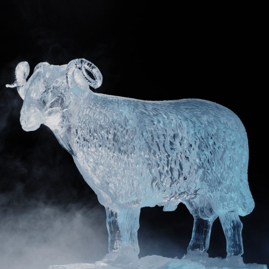 ice sculpture