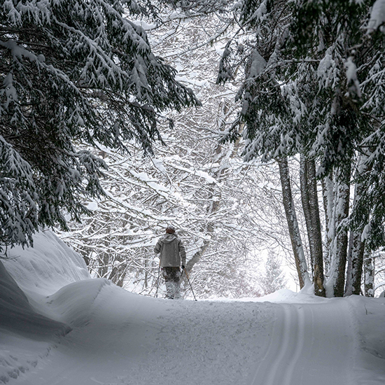 Ski de fond