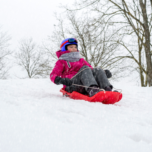 luge descente
