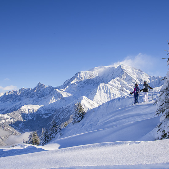 Éco-engagements collectifs des domaines skiables français